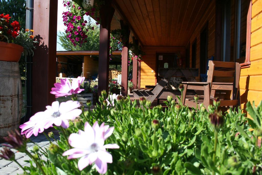 Farmstay Marianowka U Tesi Ґіби Екстер'єр фото